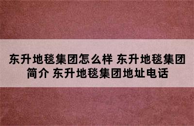 东升地毯集团怎么样 东升地毯集团简介 东升地毯集团地址电话